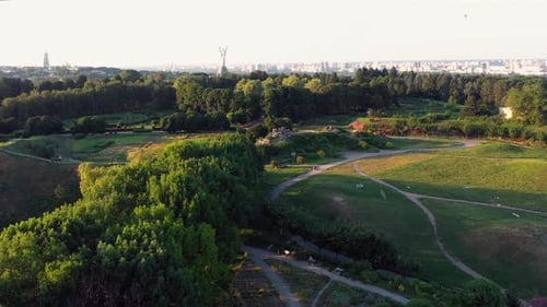 View From Above on the Summer Garden