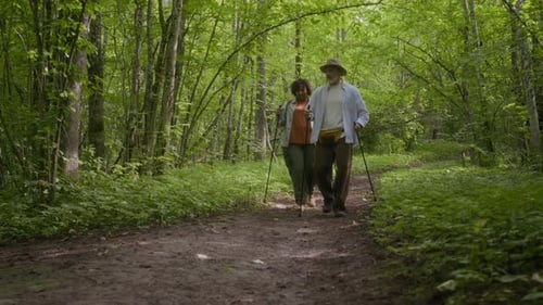 Diverse Couple with Hiking Poles Exploring Forest Trails