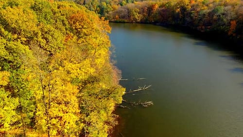 Narrow river flowing in the autumn woods. Bright tree dressing in the sunny forest.