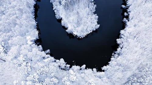 Aerial view of curvy river and frozen forest in winter