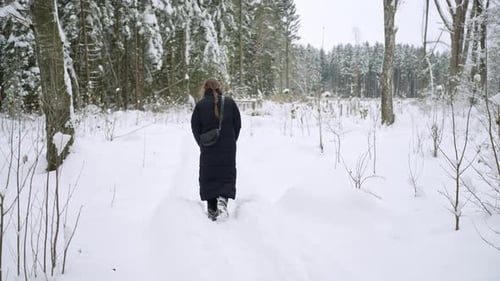 Woman Walking on Snowy Forest Path in Winter