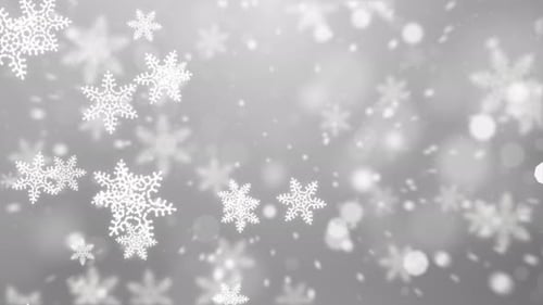Falling Abstract Particles Snowflakes Star on White Dark Loop