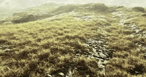 Expansive Grassy Terrain Under Hazy Sunlight in a Tranquil Landscape