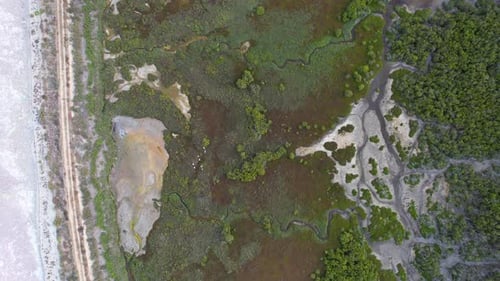 Aerial view of mangroves and wetlands in vibrant greenery, Australia.