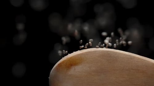 Chia Seeds Being Poured onto a Wooden Spoon