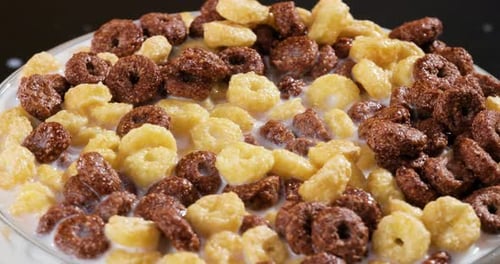 Colorful Cereal Loops Swimming in Bowl of Milk