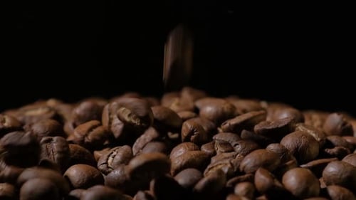 Slow motion of roasted coffee beans falling.