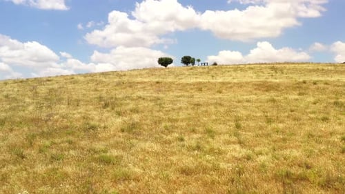 Rural Hilltop with a trail leading to Three small trees, Aerial view.