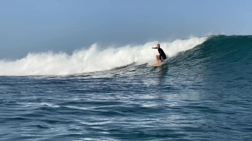 Young Man Surfs in Indian Ocean