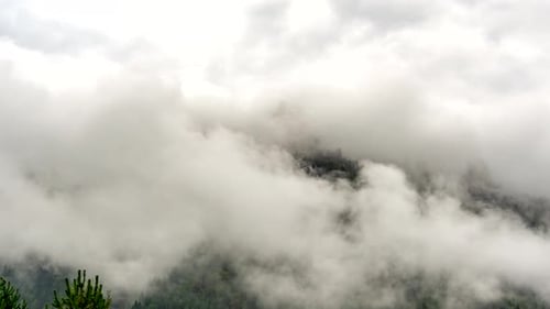 Zeitraffer der Nebelberge. Nebel über Three Crowns. Dramatisch natürliche Schönheit.