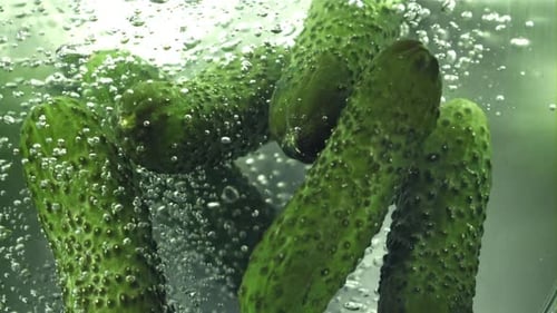 Fresh Green Cucumbers Soaking in Bubbling Water