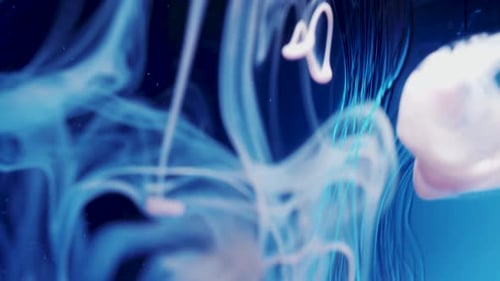 Abstraction, lava or sweet water, syrup. Smoke in multi-colored water. Colored lights