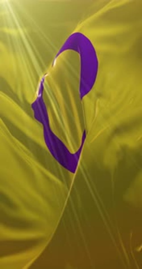 Intersex Pride Flag