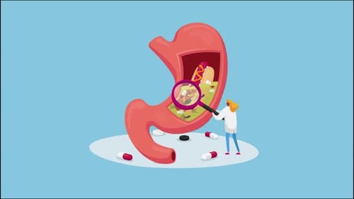 Inspección de la salud del estómago: un médico examina la digestión 4K