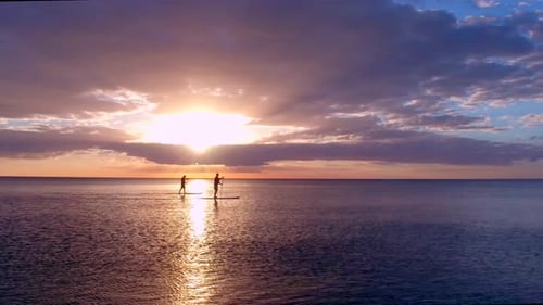 Two Paddleboarders With Pink Sunset By Aerial Drone