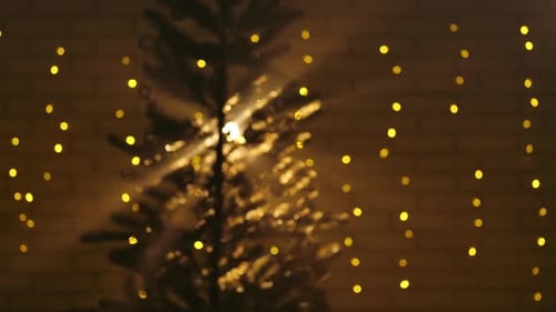 Santa Holding Christmas Present with Holiday Tree Backdrop
