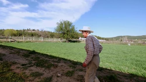 Old Man In Greenhouse Garden