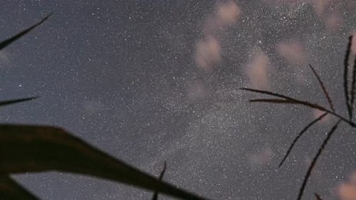 Agricultural Background Time Lapse TimeLapse TimeLapse Night Starry Sky With Glowing Stars And