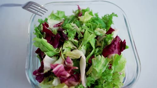 Vegetarian Bowl