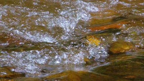 Zeitlupenaufnahmen von fließendem Wasser in einem tropischen Regenwald in Thailand.