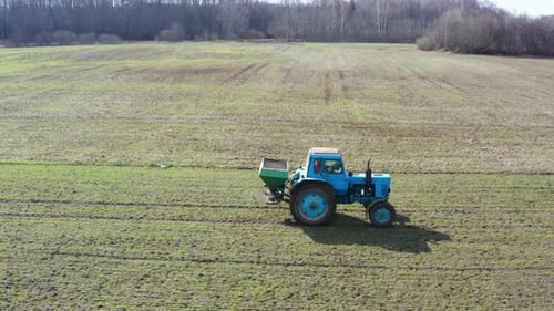 Landwirt fährt alten Traktor und sprüht körnigen Dünger auf grünes Weizenfeld