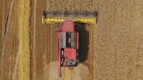 Vue aérienne de la moissonneuse-batteuse travaillant dans le grand champ de blé. Saison de récolte