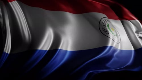 Realistic Waving Paraguay Flag Seamless Loop