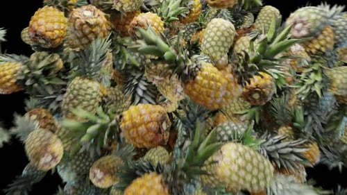 Pineapple Explosion Transition Fruit Burst Alpha