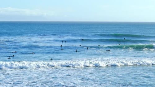 Surfers surfing on the waves as they roll in towards shore