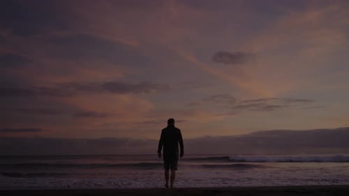 Back View on Man Walking on Sea Sandy Beach and Go Into Water at Sunset