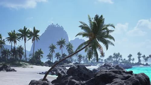 Swaying Palm Trees on a Serene Beach in Tahiti Under a Clear Blue Sky