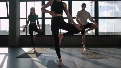 Young Adults Balancing in Yoga Tree Pose