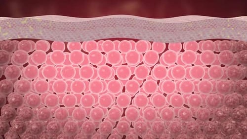 Skin Repair Concept with Layer Cleansing and Smoothing Effect