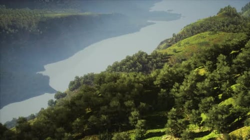 Scenic Countryside Landscape with Green Summer Mountain Valley and Forests