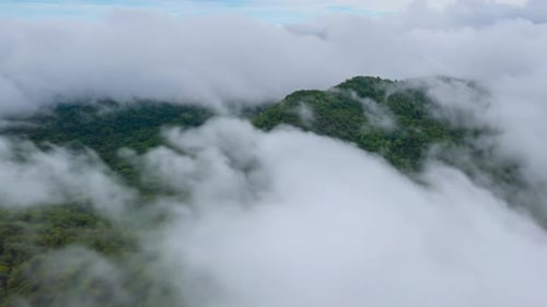 Aerial view morning scenery Mist flowing over the high mountains.
