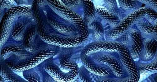 Moving Blue Colored Snake Scales Looped 3d Animation