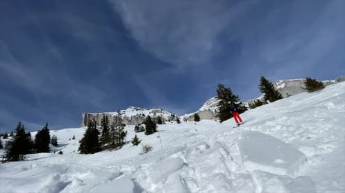Ein junger Ski-Freestyle-Athlet führt auf einer Schneehiste in den Schweizer Alpen mit einem F einen Backflip mit Skiern durch