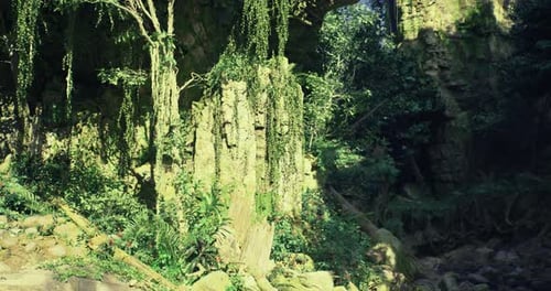 Lush Greenery and Rock Formations in a Vibrant Tropical Setting at Midday