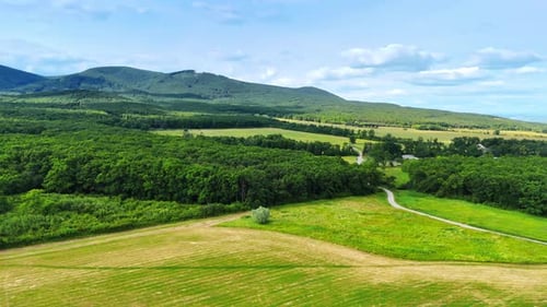 Aerial View of Green Fields and Forest