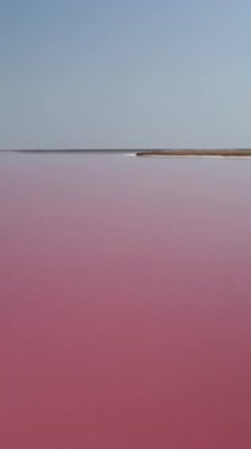 Aerial View of Pink Salt Lake Salt Production Facilities in Saline Evaporation Ponds Red and Pink