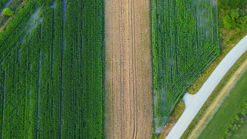 Top view of field