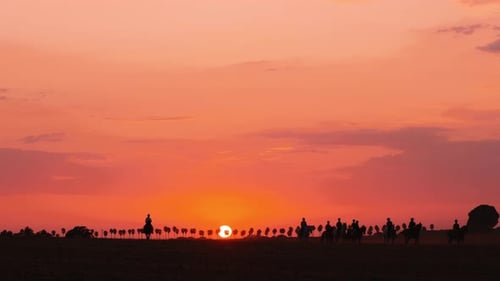 Silhouette of several people riding horses during beautiful orange colored sunset in background. Sta