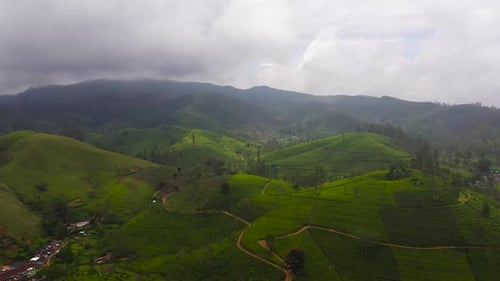 Tea Plantations on the Hillsides in the Mountains of Sri Lanka