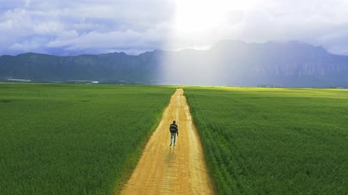 4k drone footage of a man walking down a path in the countryside