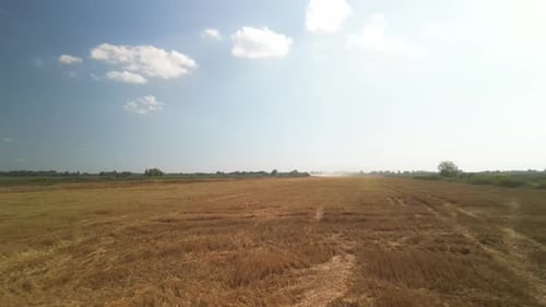 Wheat field aerial view in Ukraine