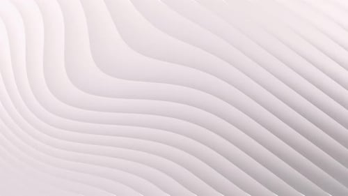 Clean White Abstract Fluid Wavy Lines Background