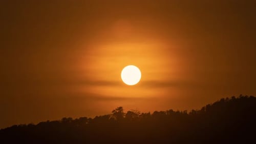 Sun Sets Over Dark Forest Silhouette