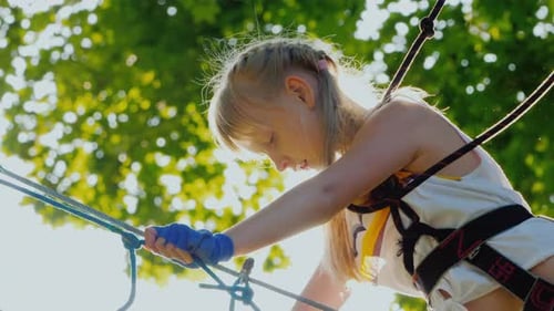 Kid Climbs Ropes High in Tree Crown Sports Camp Concept