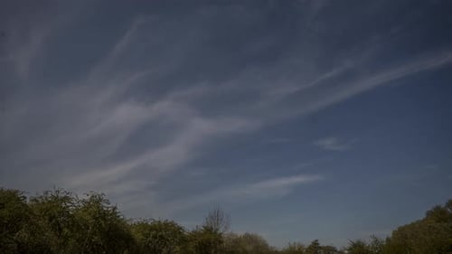 Stereo typical clouds with a tree line running across the bottom of the shot.