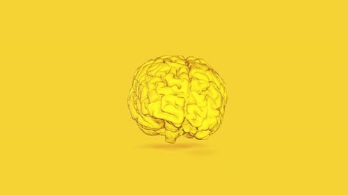 Brain Gelb